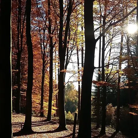 La Des Savoyards Ferienhaus Vielsalm
