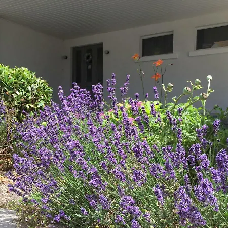 Holiday home La Des Savoyards Vielsalm