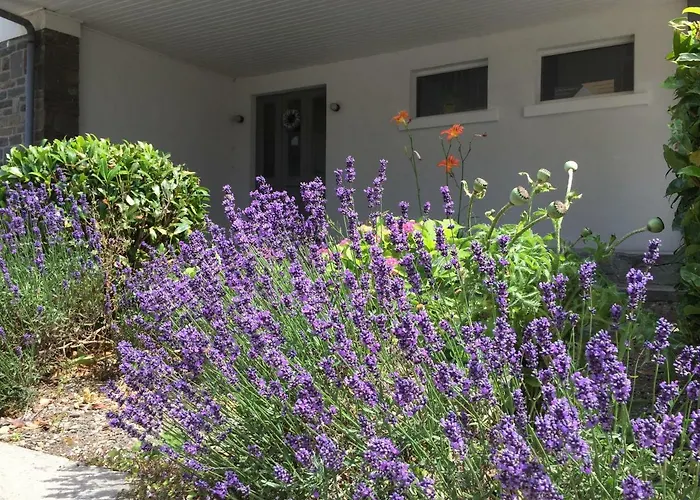 Casa vacanze La Des Savoyards Vielsalm